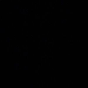 Meet your Posher, Maribel